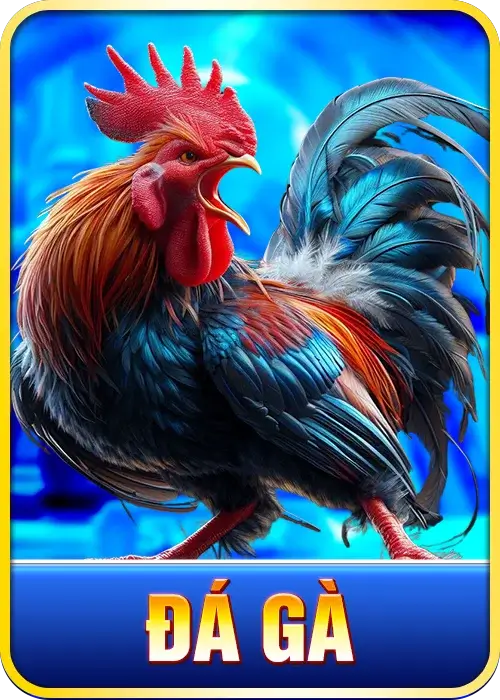 đá gà bet88
