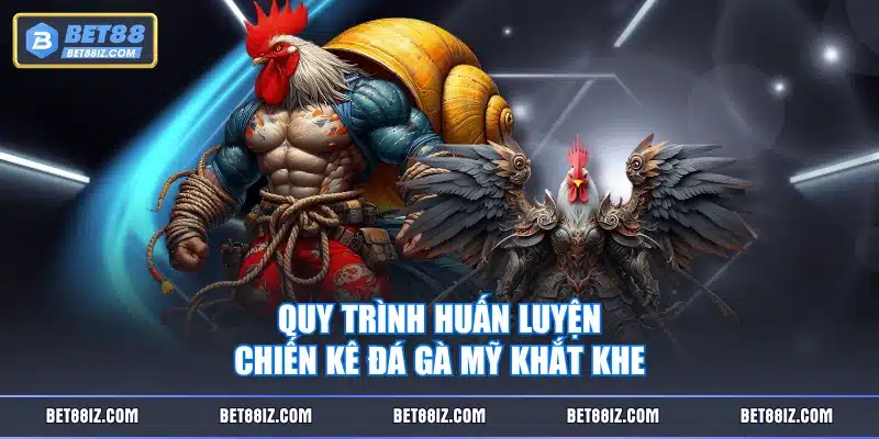 Quy trình huấn luyện chiến kê đá gà Mỹ khắt khe