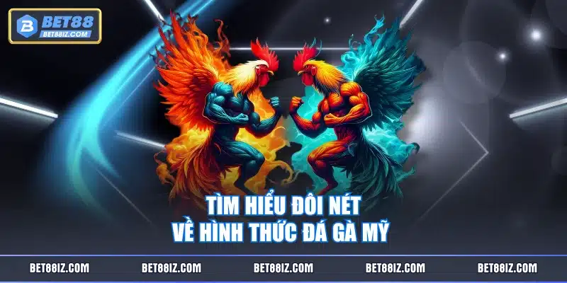 Tìm hiểu đôi nét về hình thức đá gà Mỹ